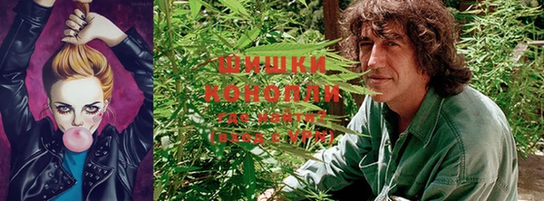 амф Осинники