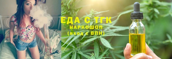 индика Осташков