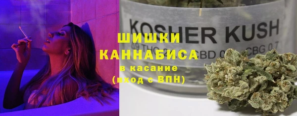 PSILOCYBIN Няндома