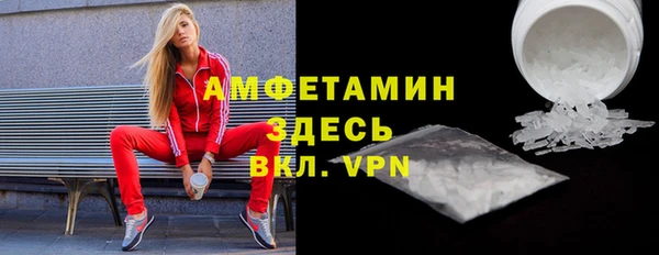 индика Осташков