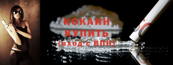 индика Осташков