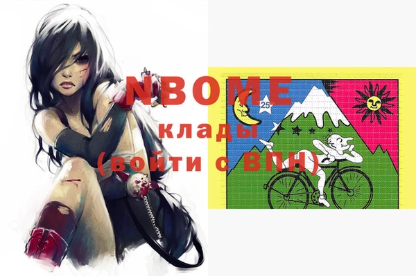 индика Осташков