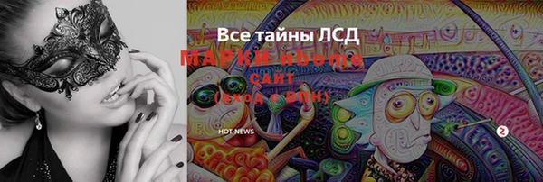 PSILOCYBIN Няндома
